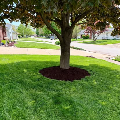 Curved landscape bed
