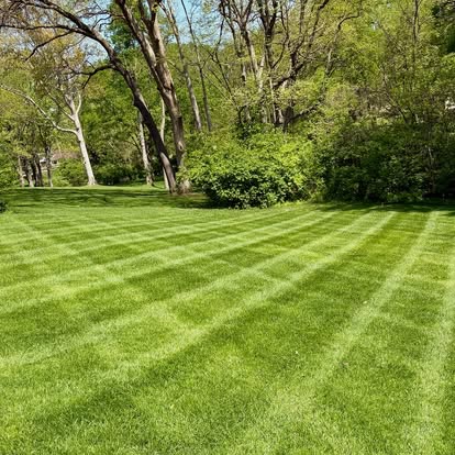 Green lawn near trees