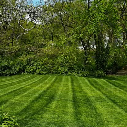 Freshly mowed lawn