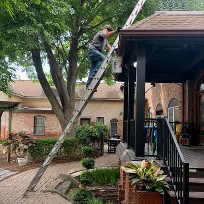 Tree mulch ring